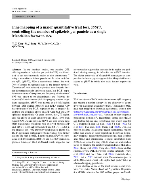Fine mapping of a major quantitative trait loci, qSSP7 , controlling the number of spikelets per