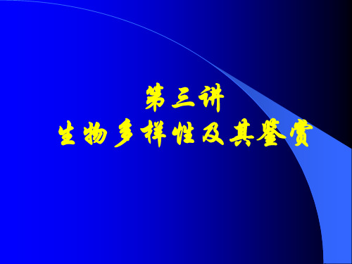 生态美学1