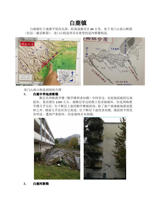 白鹿镇-