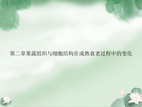 第二章果蔬组织与细胞结构在成熟衰老过程中的变化