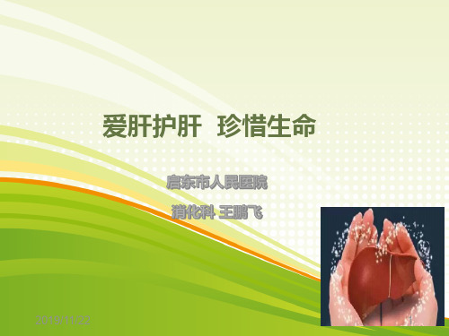爱肝护肝-享受健康PPT课件