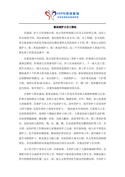 新加坡护士分工情况