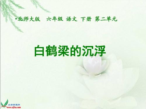 语文天地二《白鹤梁的沉浮》课件