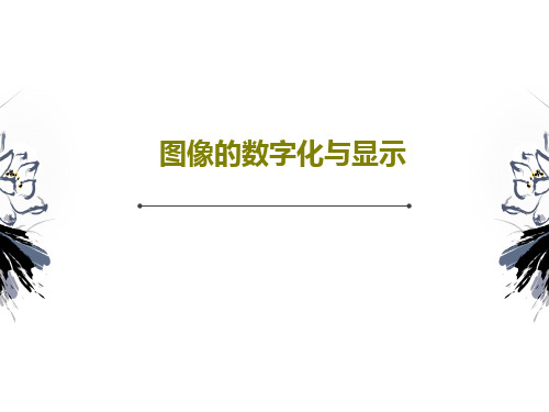 图像的数字化与显示47页PPT