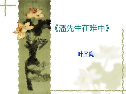潘先生在难中PPT课件