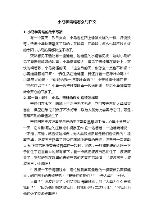 小马和青蛙怎么写作文
