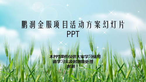 鹏润金服项目活动方案幻灯片PPT
