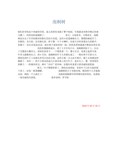 小学记叙文 泡桐树-精品