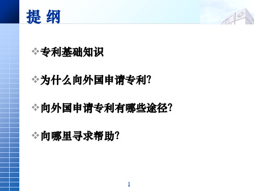 如何向外国申请专利66页PPT文档
