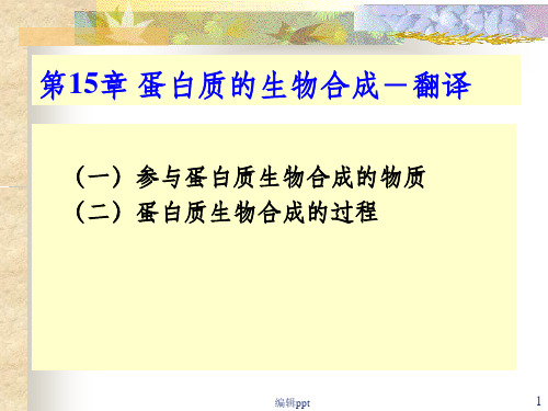 《核酸的生物学功能》PPT课件