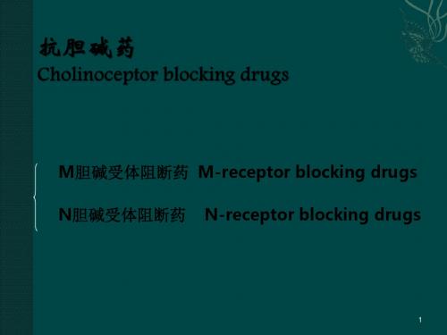 抗胆碱药PPT课件