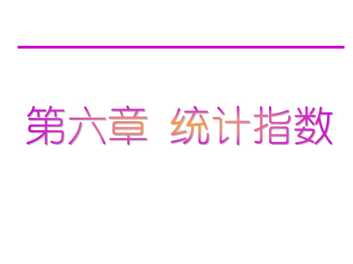 第六章统计指数讲诉
