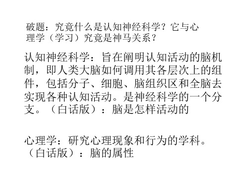 学习与认知神经科学_PPT幻灯片