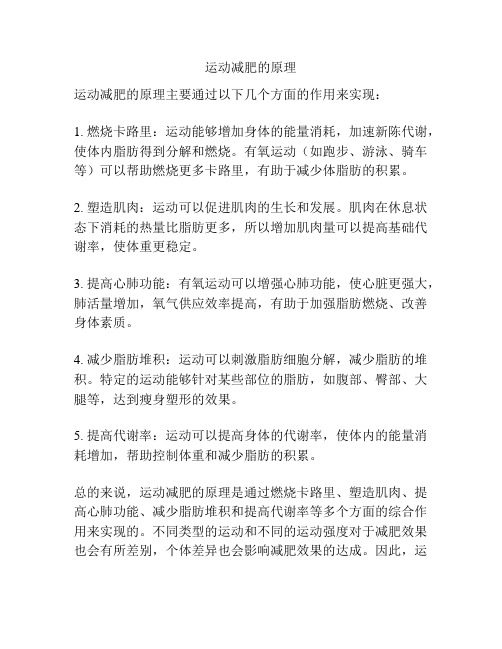 运动减肥的原理