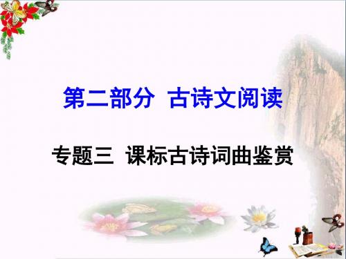 中考语文复习第二部分：古诗文阅读ppt(31份)29