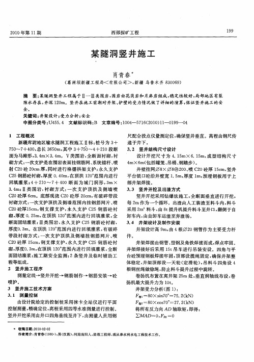 某隧洞竖井施工