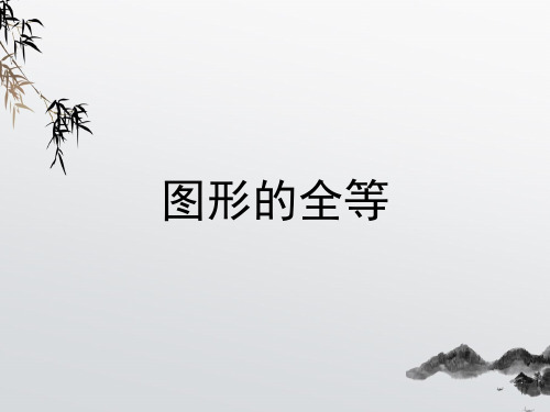 《图形的全等》PPT课件 (公开课获奖)2022年华师大版 (2)