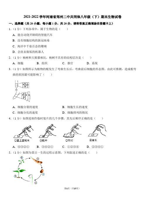 生物  2021-2022学年河南省郑州二中共同体八年级(下)期末生物试卷