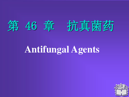 抗真菌药物