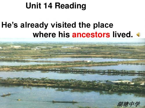Unit 14 Have you packed yet Section A教学课件(2课时)(92张