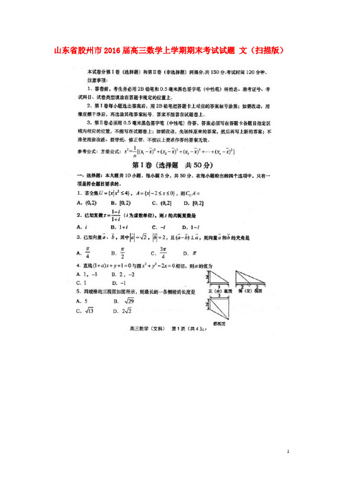 山东省胶州市2016届高三数学上学期期末考试试题文(扫描版)
