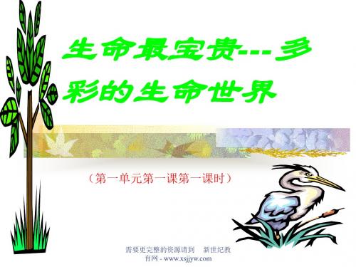 鲁教版七年级上《多彩的生命世界》ppt课件-1