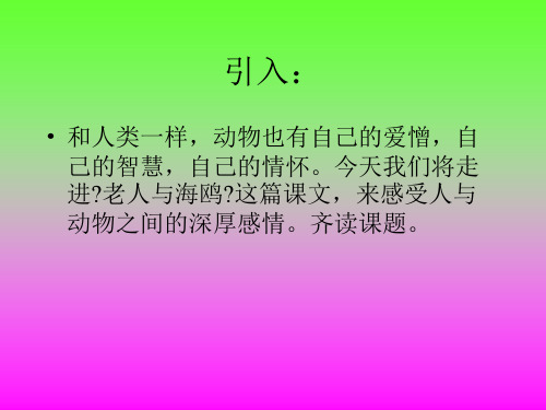 人教版小学语文六年级上册老人与海鸥PPT课件