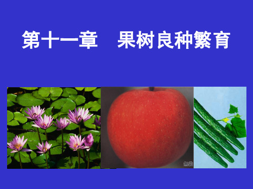 第九章 良种繁育