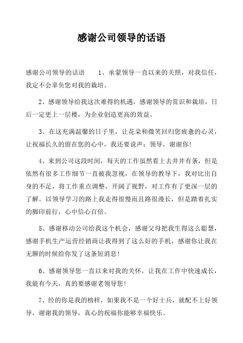 感谢公司领导的话语