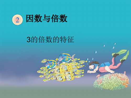 《3的倍数特征》课件