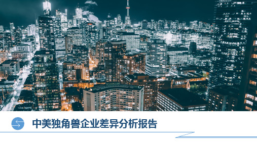 中美独角兽企业差异分析报告