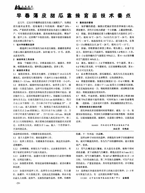 早春薄皮甜瓜靠接育苗技术要点