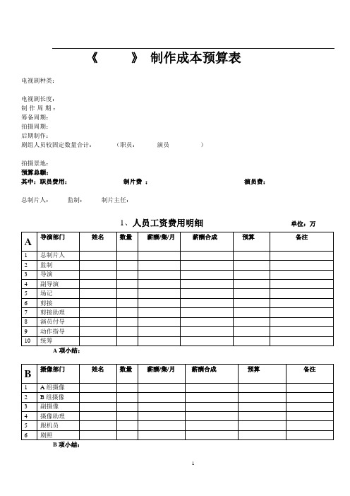 电视剧制作空白预算