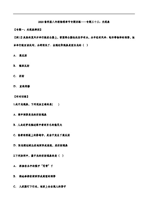 2020鲁科版八年级物理章节专题训练——专题三十三：光现象
