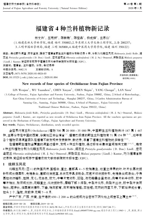 福建省4种兰科植物新记录