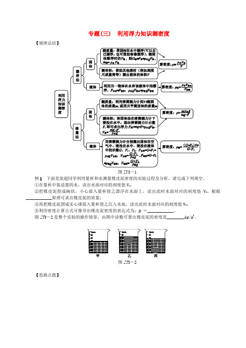 (中考复习方案)中考物理总复习专题训练(三)利用浮力知识测密度(2019~2020学年度)