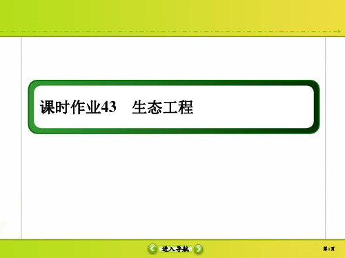 2021高考生物人教版大一轮生态工程复习课件