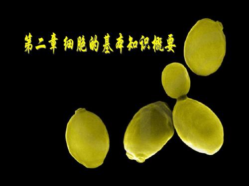 第二章 细胞的基本知识概要