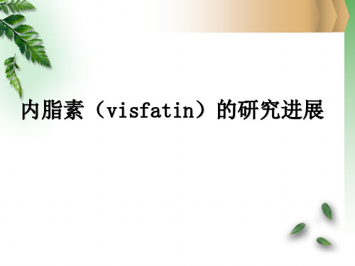 内脂素(visfatin)的研究进展