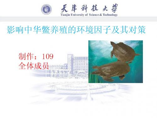 影响中华鳖养殖的环境因子及对策