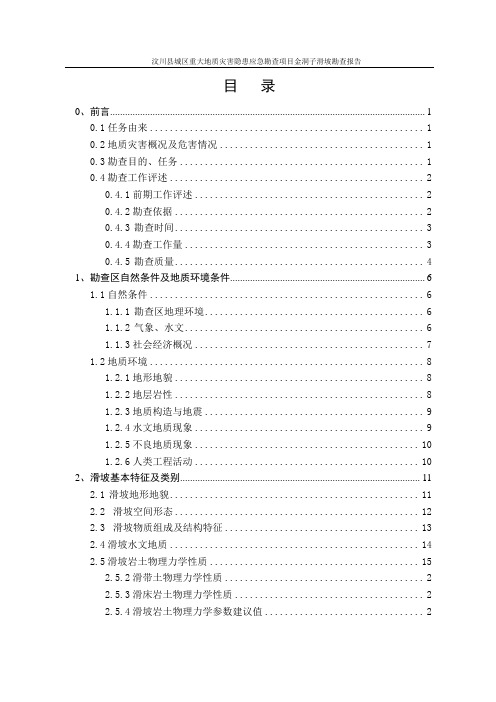 金洞子滑坡勘查报告(新)