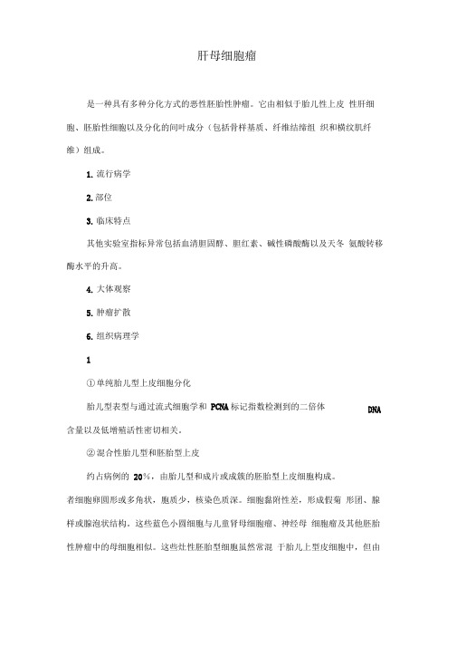 肝母细胞瘤