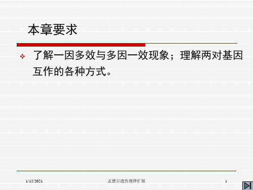 孟德尔遗传规律扩展培训课件