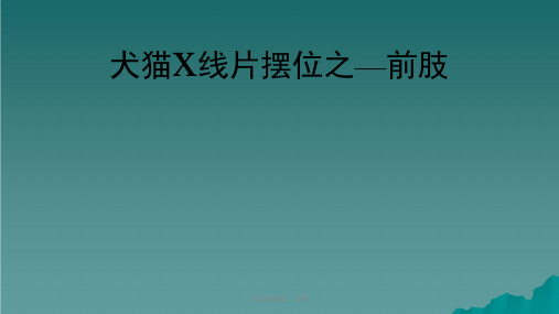 犬猫X线摆位--前肢课件