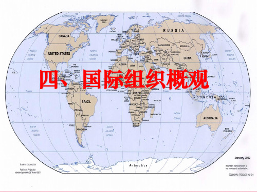 高中政治教学课件国际组织概观新人教版选修3