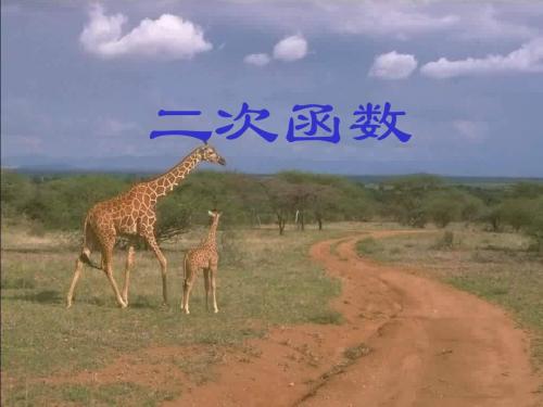 高三数学二次函数