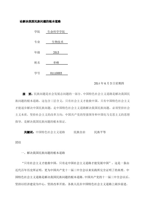 民族问题论文
