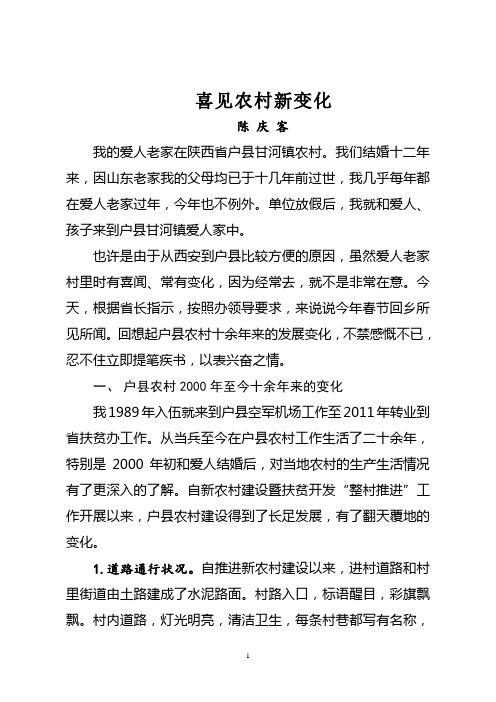 春节回乡见闻
