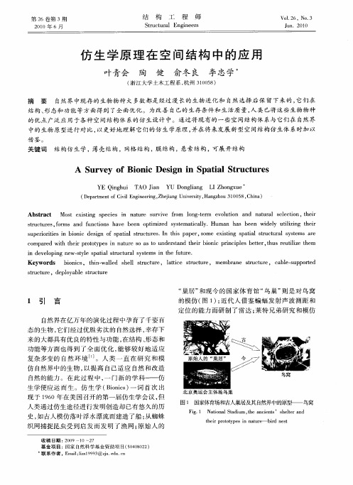 仿生学原理在空间结构中的应用