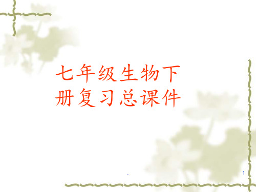 人教版七年级下册生物总复习PPT课件